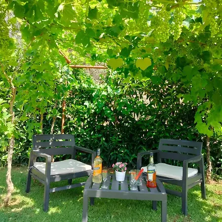 فيلة Pergola